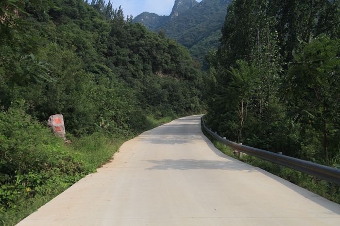 園區道路.JPG